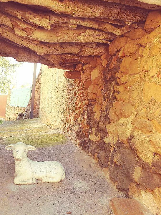 Cal Xaiet Guest House Llampaies Exterior foto