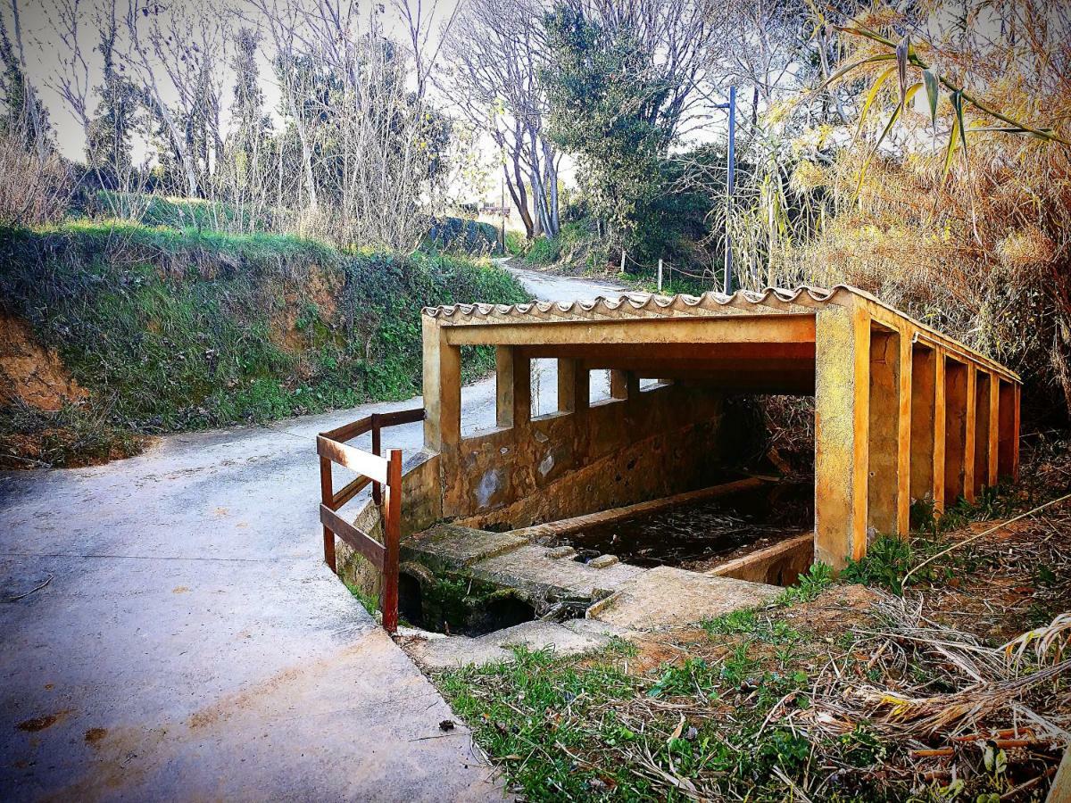 Cal Xaiet Guest House Llampaies Exterior foto
